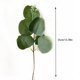 thumbnail image 5 of Decoración De Plantas De Eucalipto, Tallo De Hoja De Eucalipto Artificial, 24 Piezas, Decoración Ideal, Flores Blancas, Sin Mantenimiento Para Fiestas, 5 of 8