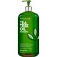 thumbnail image 1 of MAJESTIC PURE Champú de árbol de té para hombres y mujeres -16 fl oz - Fórmula hidratante que combate la caspa, los piojos y el cuero cabelludo irritante o seco con picazón - Para todo tipo de cabello, 1 of 5