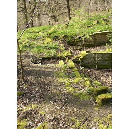 Cromwell Tank - LAMINATED POSTER The outlet from the former sewage tank, Cromwell Wood, Southowram This is a view along the channel t Poster Print 24 x 36