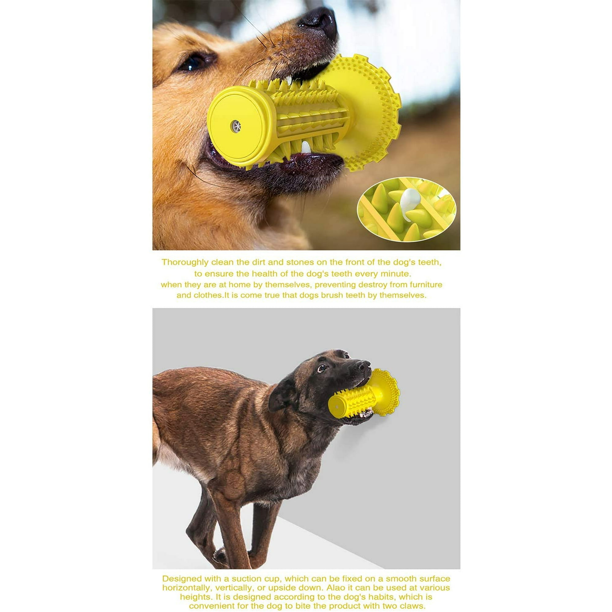 VEEKI Dog Toothbrush Chew Toys Teeth Cleaning Toy Durable Tough Puppy Dental Chew Natural Rubber Brushing Stick Dental Oral Care for Small Medium Dogs