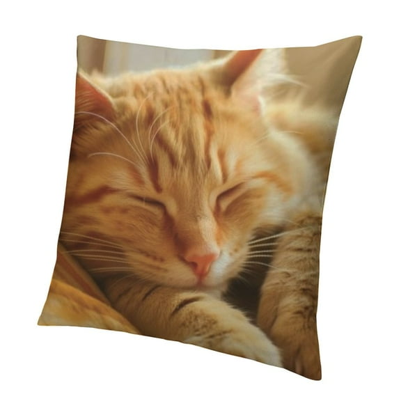 Merry Throw Pillow Case Sleeping Orange Cat Pillow Cover Canvas Home Decorative Cushion Cover for Sofa and Bed One Side Print