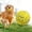 1PC Yellow, variant on CyperGlory Interactive Dog Toys, Squeaker Dog Balls, Water Toys for Dogs, E-TPU Chew Toy, 2.75 inch, White