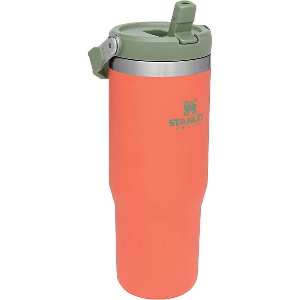 Stanley The IceFlow Flip Straw Tumbler 30 oz Alpine