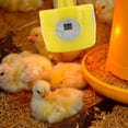 thumbnail image 4 of Bombilla de Lámpara de Calor de Pollo, Bombilla de Lámpara de calor REPILES MULTIFORNOSES PARA LA GRANJA PARA TIENDAS DE MASCOTAS, 4 of 7