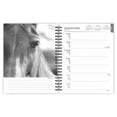 thumbnail image 3 of The Noble Horse | 2026 6x7.75" Spiral-Bound Engagement Planner | BrownTrout, 3 of 9