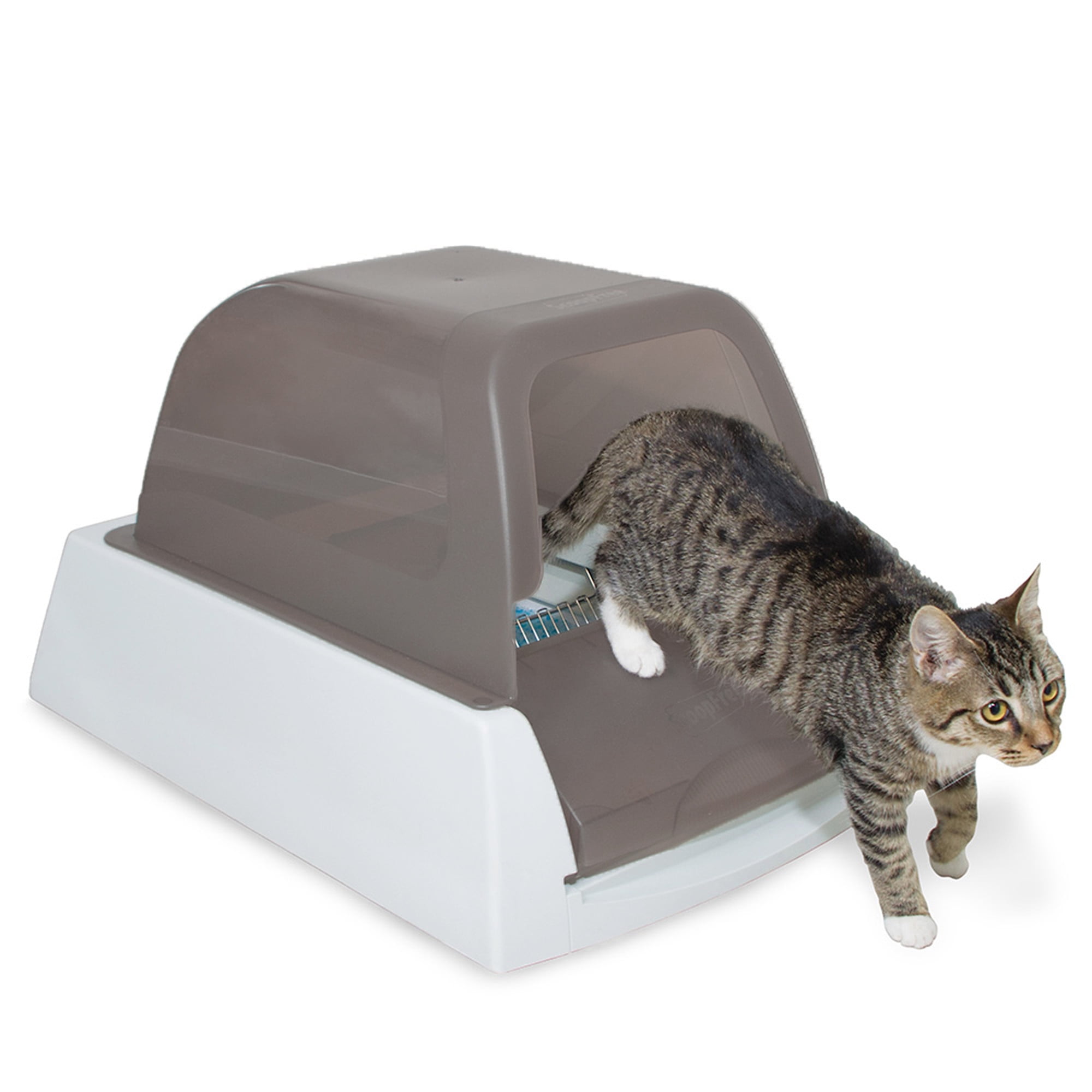 walmart cat litter box