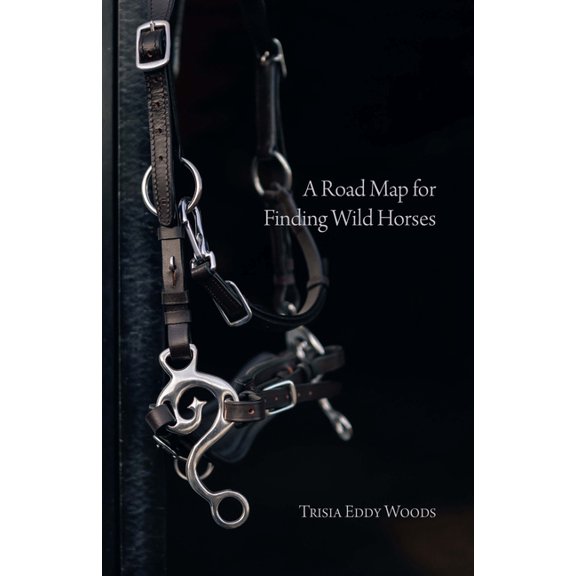 A Road Map for Finding Wild Horses, (Paperback)