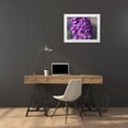 thumbnail image 3 of Bonin, Suzanne 24x19 White Modern Wood Framed Museum Art Print Titled - Summer Lilac, 3 of 4