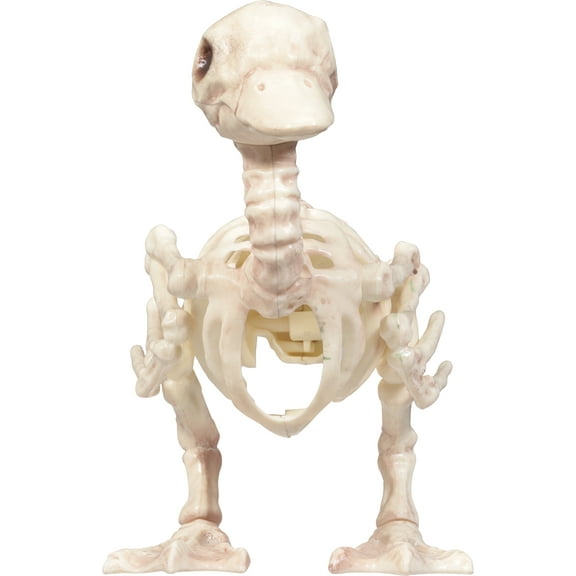 Crazy Bonez Skeleton Baby Duck