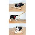 thumbnail image 2 of Juguete duradero para perros Squeaky Knottie para masticadores agresivos TUNC Sencillez, 2 of 5