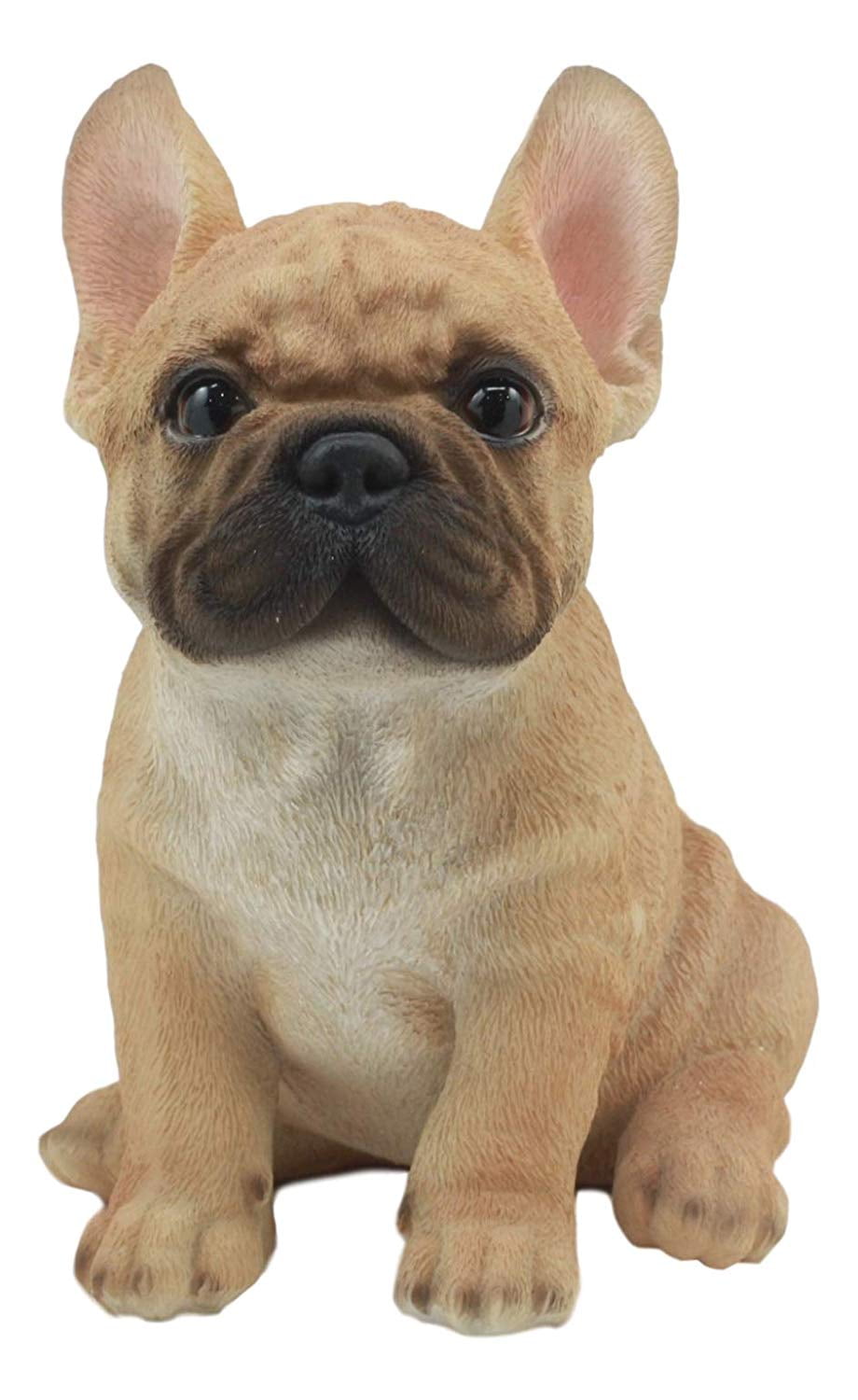 Ebros Realistic Lifelike French Bulldog Puppy Statue 7