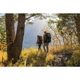 thumbnail image 2 of Teton Explorer 4000 Backpack, 2 of 8