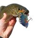 thumbnail image 3 of Segmentos Biónicos Los 9cm Aparejos 6 Del Crankbait Cebo Topwater Que Se Hunden Lentamente Plástico, 3 of 9