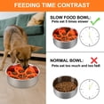 thumbnail image 2 of Comedero lento para perros Anipaw, silicona en espiral, con 36 ventosas, 2 of 7