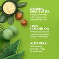 thumbnail image 4 of Loción corporal SheaMoisture 100% aceite de tamanu con manteca de karité 480 ml, 4 of 7