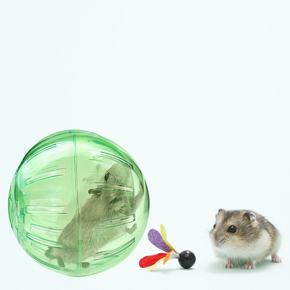 FELTECHELECTR Durable Hamster Exercise Ball with Transparent Shell for Portable Small Animal Entertainment