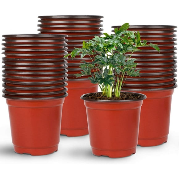Small Plastic Pots