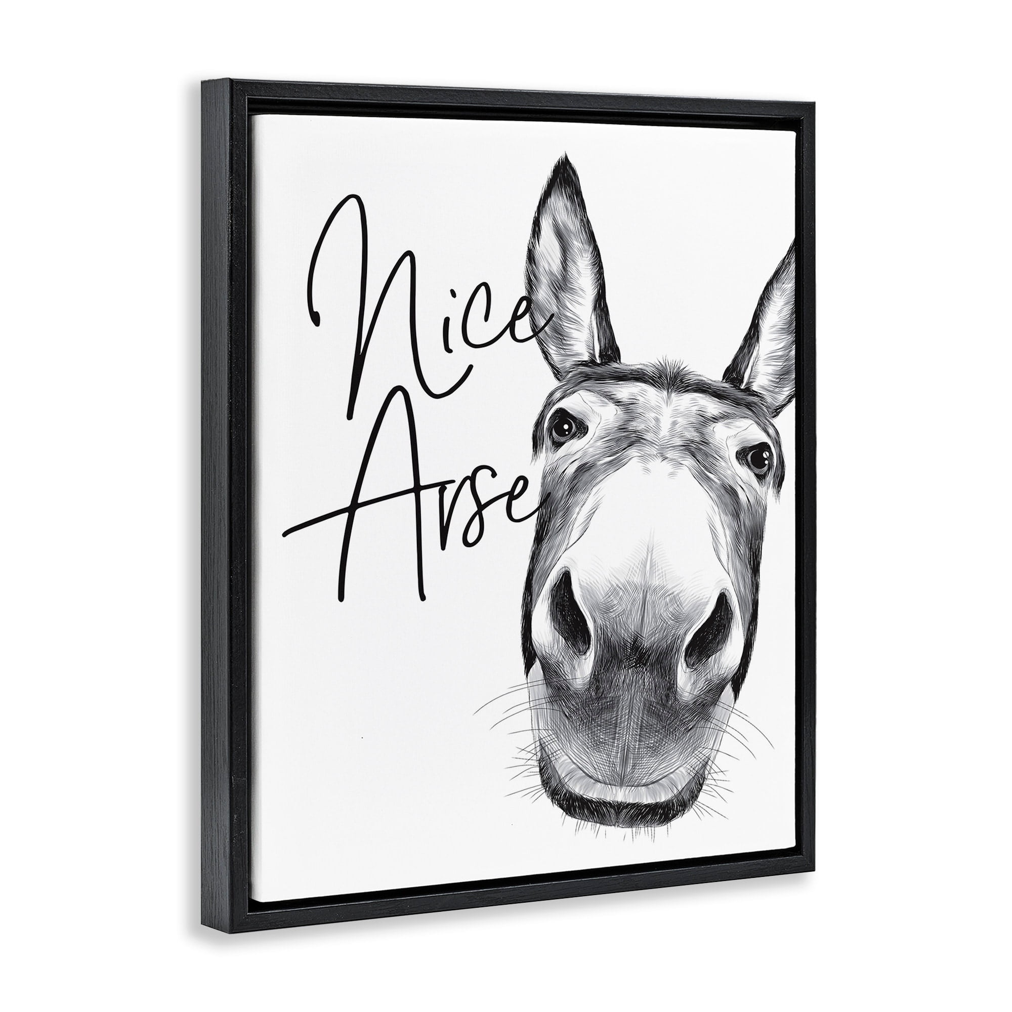 Stupell Industries Animal Humor Nice Arse Donkey Bathroom Phrase Jet Black Framed Floating Canvas Wall Art, 24x30, by Lettered and Lined