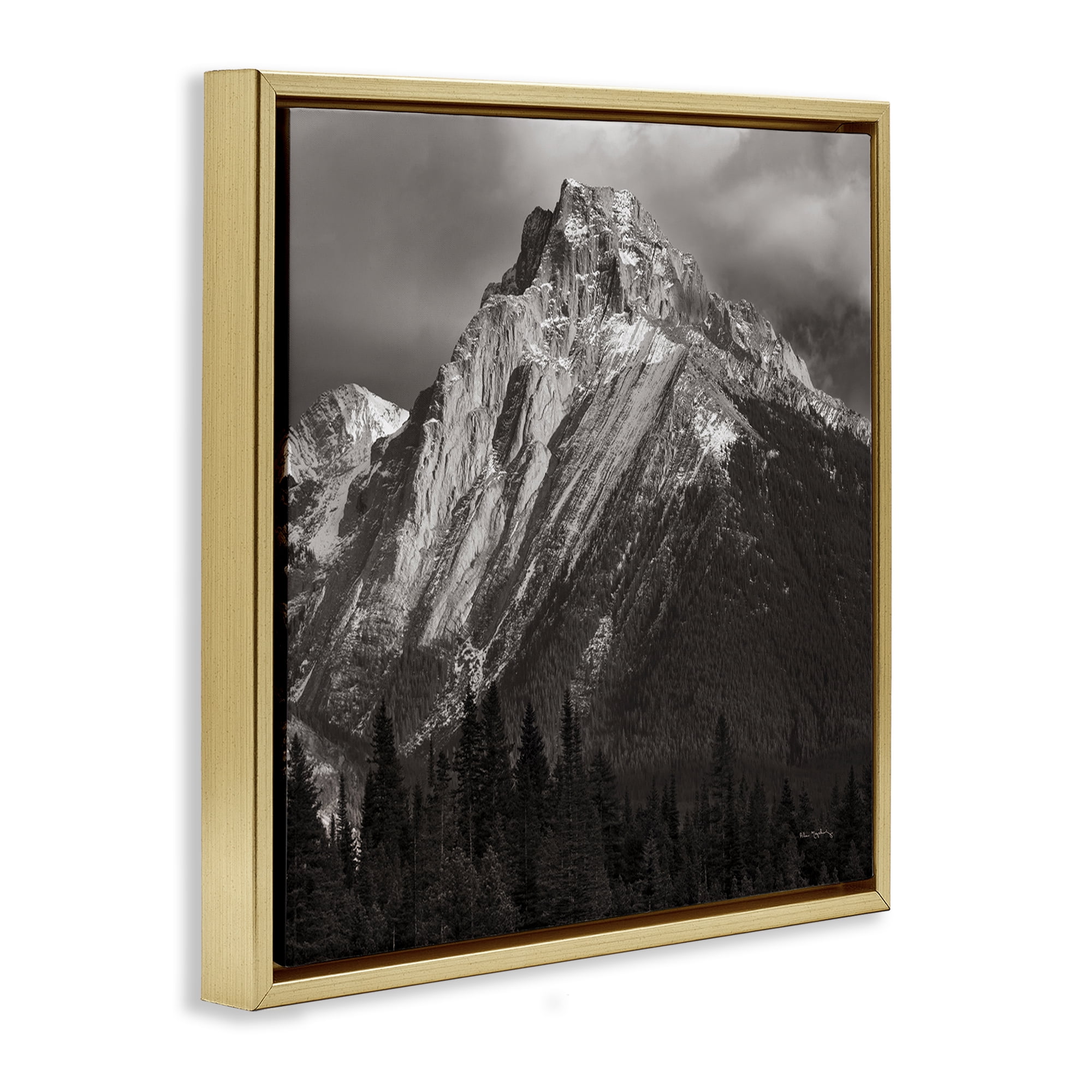 Stupell Industries Canadian Rockies View Landscape & Nature Photography Gold Floater Framed Canvas Art Print Wall Art, 18 x 18
