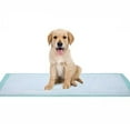 thumbnail image 5 of DUKAL Disposable Underpad Cellulose 17X24" 11724 300 pads, 5 of 5