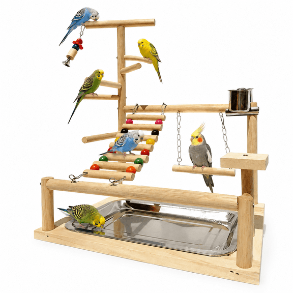 Gaoxin Bird Playstand, Easy Assembly, with Toys, Ladder, and Platform, for Cockatiels, Parakeets, Conures, Finches