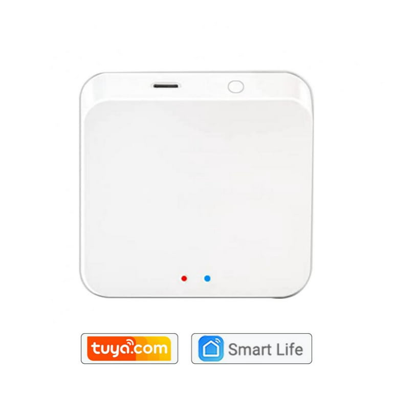 Tuya Smart Life alexa Google home voice control Double Frame UK Wifi S –  Zebrago