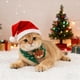 thumbnail image 3 of Herunwer Christmas Cat Collars, Adjustable Xmas Pet Bandana Collar with Removable Scarf, Christmas Collar for Kittens Cats, 3 of 7