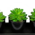 thumbnail image 6 of Northlight Mini Artificial Potted Succulents with Wood Planter - 5" - Set of 3, 6 of 6
