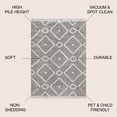 thumbnail image 3 of JONATHAN Y MERCER SHAG 4 x 6 Area Rug, Mercer Plush Tassel Moroccan Diamond - Gray/Cream, MCR105C-4, 3 of 4