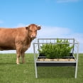 thumbnail image 3 of Farm Livestock Feeding Trough Galvanized for Cattle Horse Sheep Feeding, 3 of 20