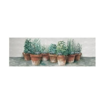 Trademark Fine Art 'Pots of Herbs II Cottage v2' Canvas Art by Carol Rowan