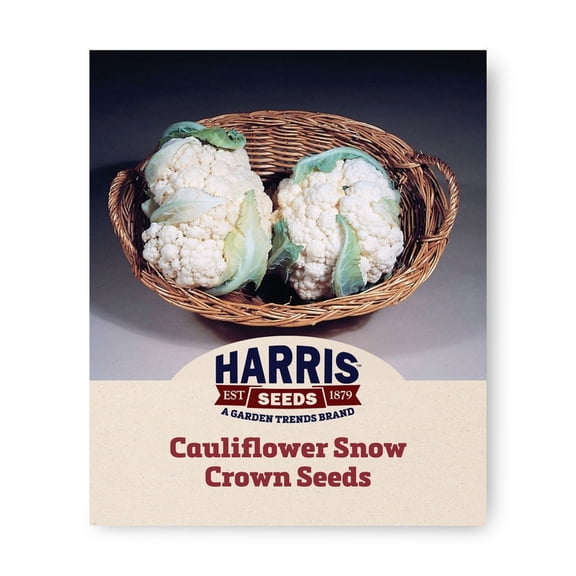 Harris Seeds Snow Crown F1 Cauliflower, Early Hybrid White Heads for Garden Growing, Treated, 50 Count