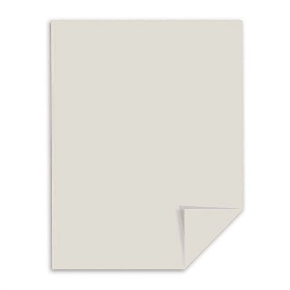 Wausau Paper Vellum Bristol Cover Stock, 250-Sheets, Gray, 8.5 x 11-Inch (82341)