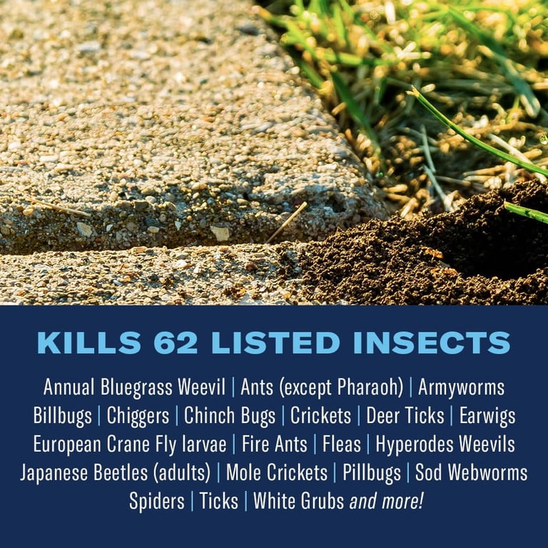 BioAdvanced Complete Insect Killer Soil & Turf Concentrate, 40 oz photo 2