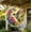 04, variant on 83 Pieces Acrylic Suncatcher Puzzle, Glowing Feather Haven Acrylic Sun Catcher Hummingbird Puzzle Kit for Door Garden and Window Hanging, DIY Suncatcher Kits for Adult, Home Whimsical Decor, 7.4 in