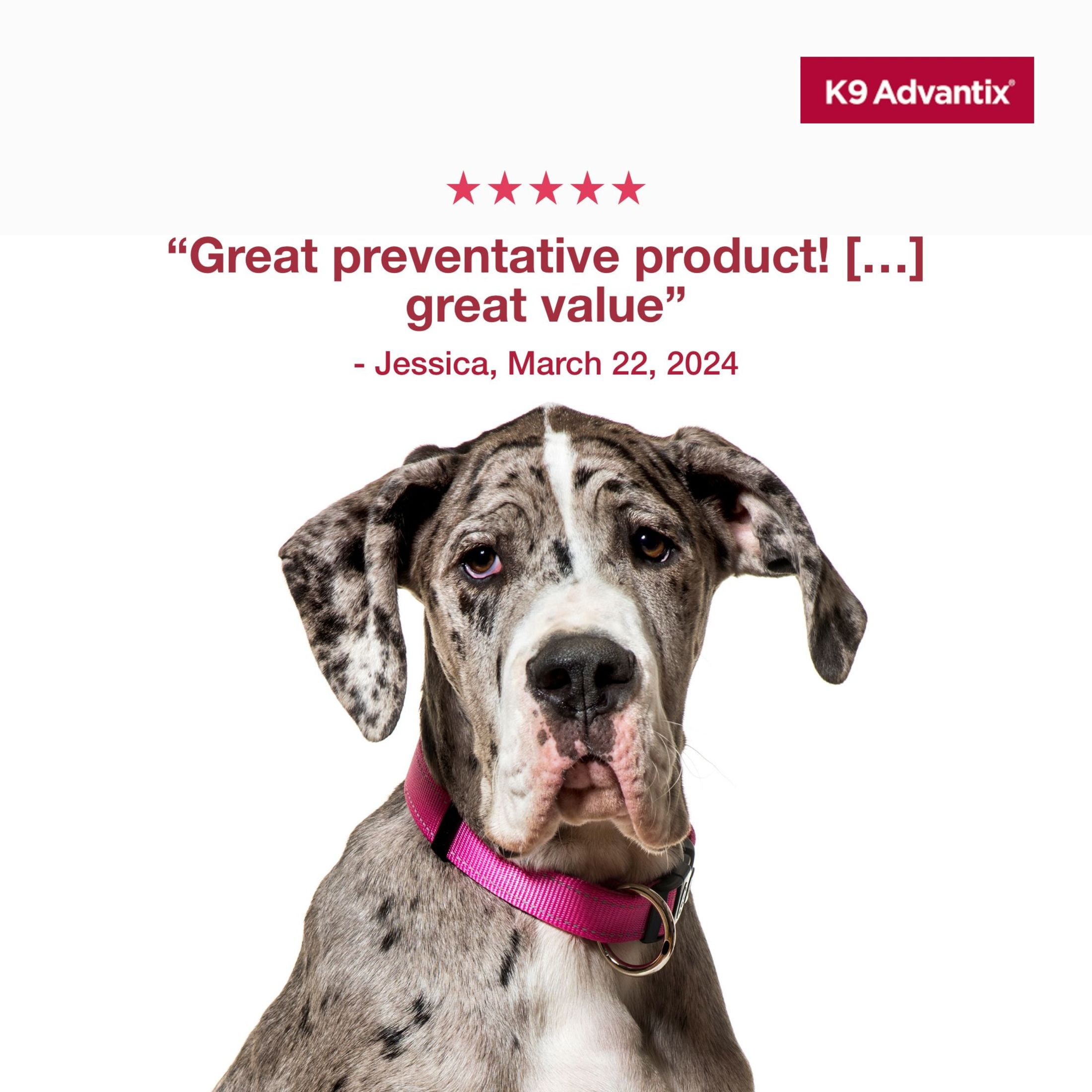 (3 pack) K9 Advantix Flea, Tick & Mosquito Prevention for Extra Large Dogs Over 55 lbs., 2-Monthly Treatments