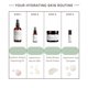 thumbnail image 5 of Toallitas húmedas perfumadas crujientes de eucalipto de un solo uso por Nabila K - Sin alcohol a base de plantas con ingredientes naturales - Toallitas desechables envueltas individualmente tamaño via, 5 of 5