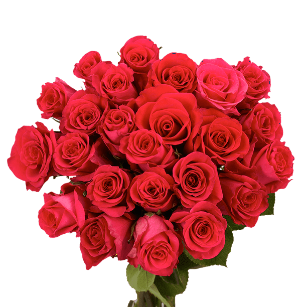 50 Stems of Wild One Roses- Fresh Flower Delivery - Walmart.com ...