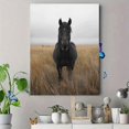 thumbnail image 4 of Qisvanset 12x16 Inch 2D Flat Framed Canvas Art, Majestic Black Horse Rustic Farmhouse Western Nature Landscape Wall Art, 4 of 5
