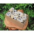 thumbnail image 3 of Break Your Own Geodes CLEARANCE Box Lot (Large Opened Natural Moroccan Crystals), 3 of 10