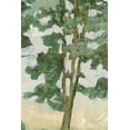 thumbnail image 2 of PI Galerie 11x14 Black Ornate Wood Framed with Double Matting Museum Art Print Titled - Green Tree Line II, 2 of 4