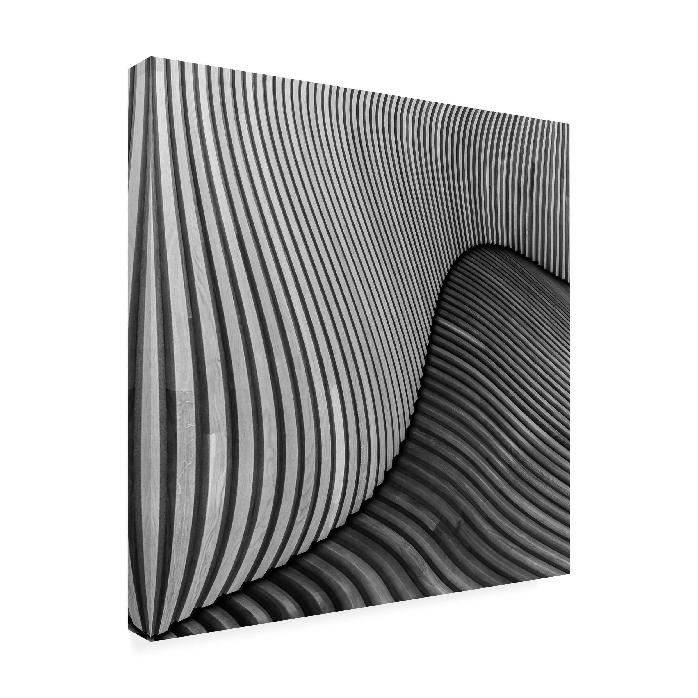 Luc Vangindertael 'Tangled Wood' Canvas Art