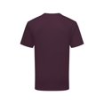 thumbnail image 3 of Fruit of the Loom Mens Iconic Premium Ringspun Cotton T-Shirt, 3 of 4
