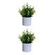 thumbnail image 3 of Bearachild 4 paquetes/lote fácil de limpiar planta falsa solución de bajo mantenimiento para plantas artificiales de interior bonsái de hojas Type1 NO1, 3 of 6