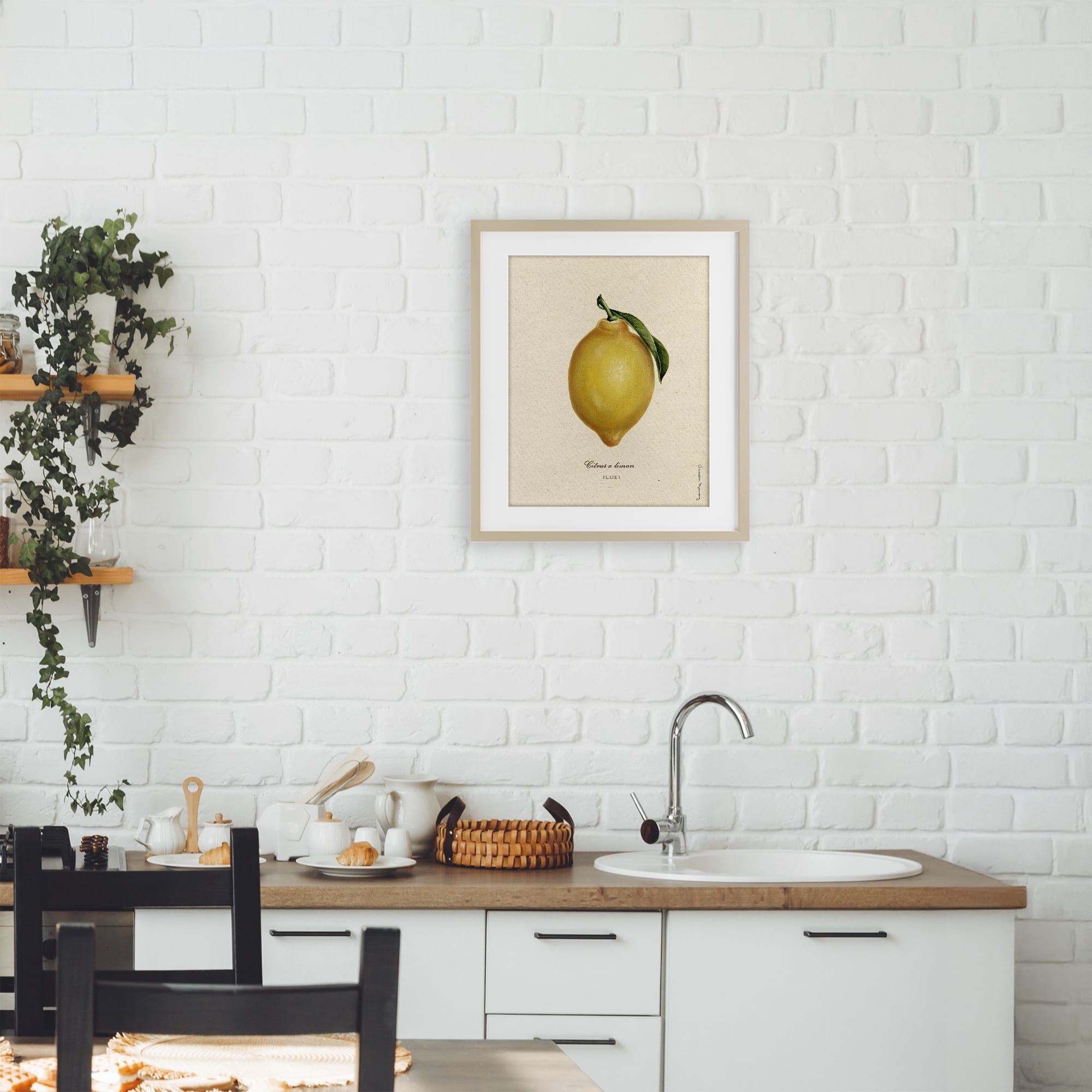 Stupell Industries Lemon Fruit Portrait Birch Framed Print Under Glass, design by Danielle Murray