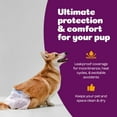 thumbnail image 2 of Inspire Pet Care Dog Diapers Female | Bulk Value Doggie Diapers for Female Dogs, Incontinence Female Dog Diapers for Heat or Pee Disposable Dog Diapers (Medium (48 Count)), 2 of 7