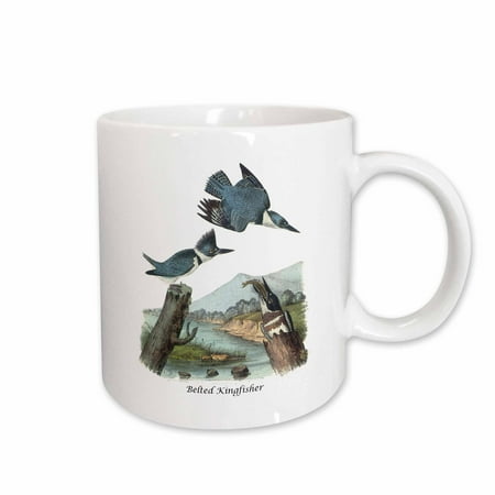 

3dRose Belted Kingfisher by John James Audubon Ceramic Mug 15-ounce