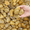 Yellow, variant on 38lbs River Rocks,Multi-Colored 2-3 Inch - Natural Polished Pebbles for Landscaping, Garden Decor, Aquariums, Decorative Stones for Pathways, Planters