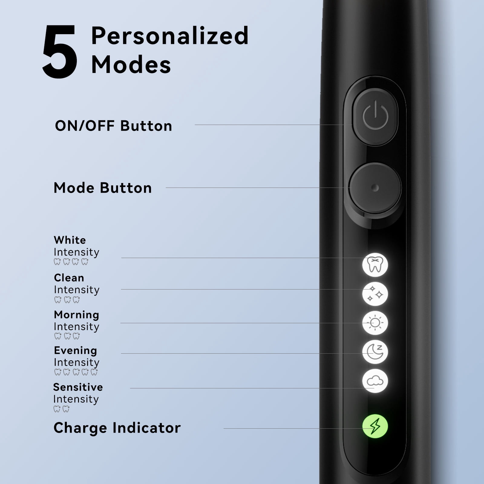 SEAGO Rotating Electric Toothbrush for adult, 8 Brush Heads, 5 Cleaning Modes, 2 Mins Timer, SG-2607(Black)
