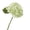 Light Green, variant on Hydrangea Artificial Flowers, 6 Pcs 12" Real Touch Faux Flowers for Indoor Outdoor Spring Summer Patio Garden Home Yard Wedding Table Decor